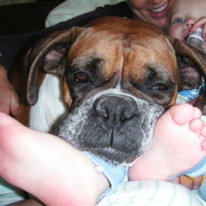 peanut resting on top of us as usual, may 2004