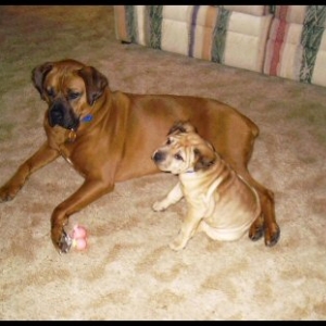 Sabrina and Zowie