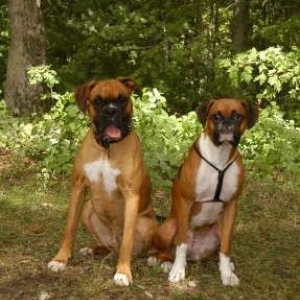 Emma and Rocky