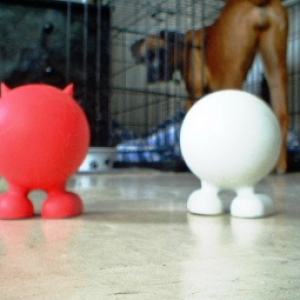 Attack of the Cuzes!!