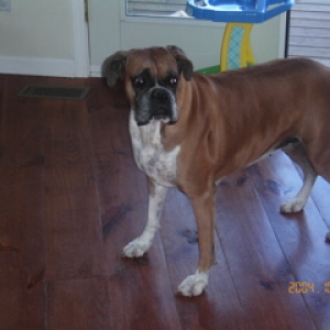 peanut 10-2004