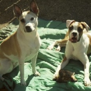 RockyTara20058