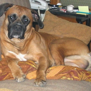Buc from Romania.