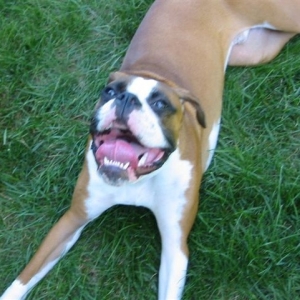 Gotcha!!