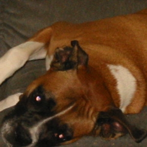 Sleeping Stella