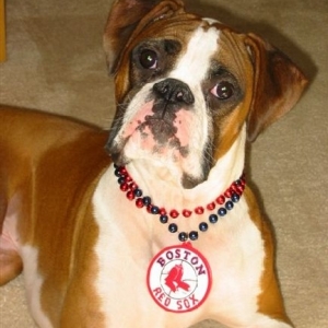 Hey Dad I'm ready for spring training