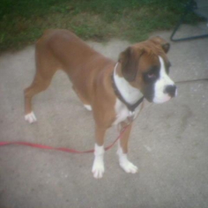 spencer1