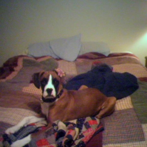 Spencer