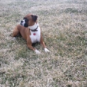 Layla posing