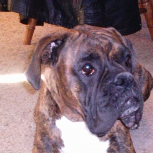 droopy