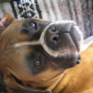 Sadie_05