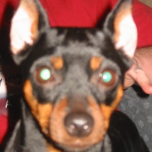 My baby Delilah