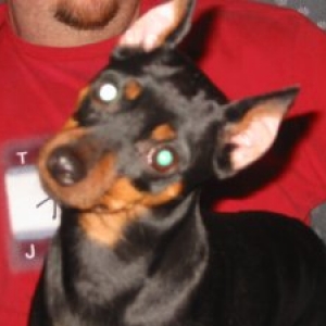 Delilah