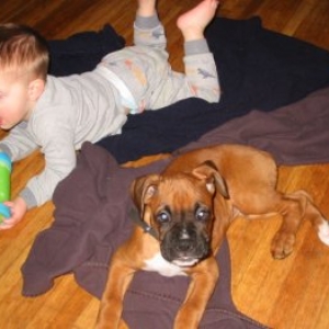 Buddies