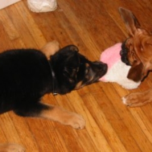 Tyson and Maddie
