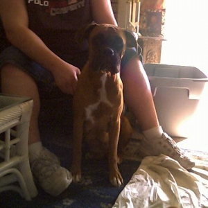 Kahlua'