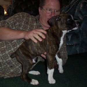 Digger just can't stand sitting still!