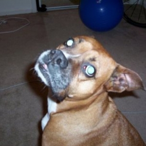 Missy