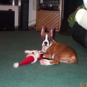 Julie at 3 1/2 months
