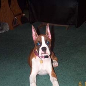 Julie 3 1/2 months