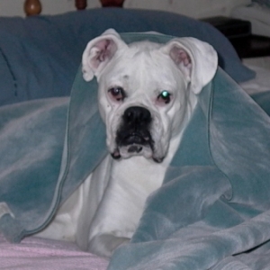 Just Wakin up