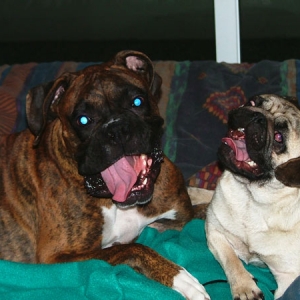 1...2...3... CHEEEEESE!!!!!