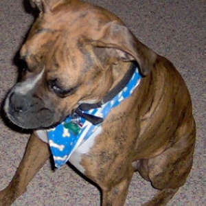 Benson
