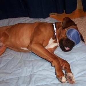 I need a NAP!