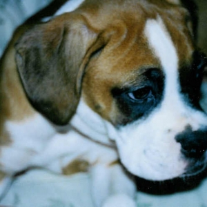 isnt he cute?