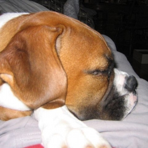 Rough day at the park!!
