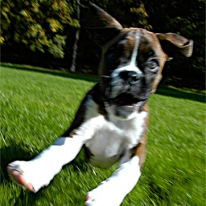 12 weeks old..