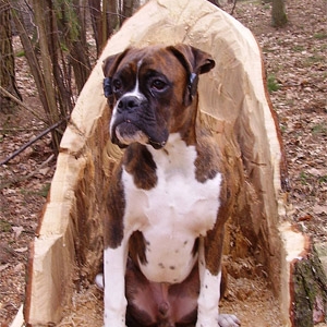 I'm the king!!