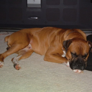 TYSON