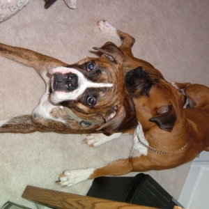 MY CHILDREN