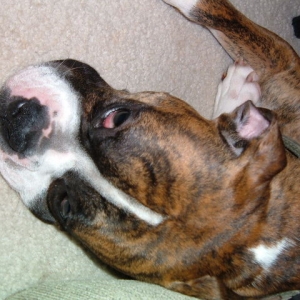 NAP TIME