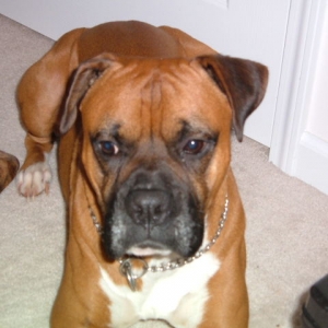 TYSON