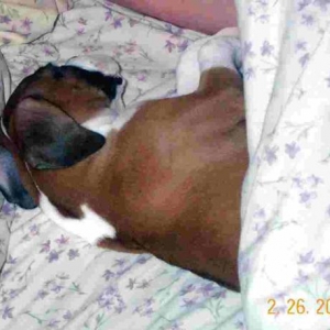 Xena-Sleeping Beauty-8 weeks