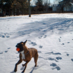 I got the ball!