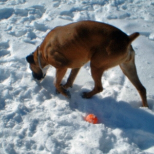 Where is that ball?
