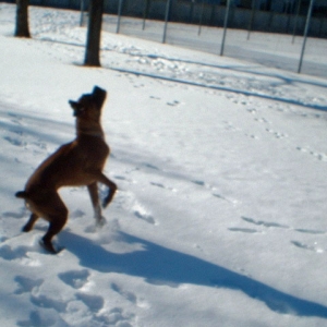 I'll catch it!!