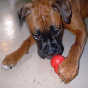 mmmm kong