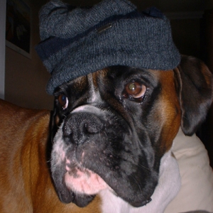 Brando in his wooly hat