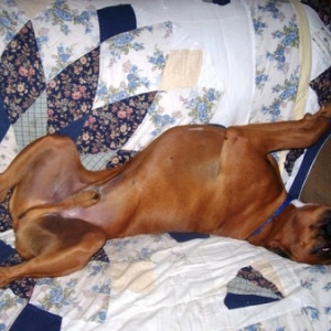 Jack's nap