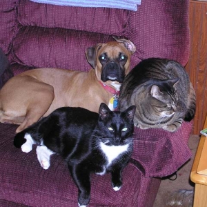Brandi and her posse