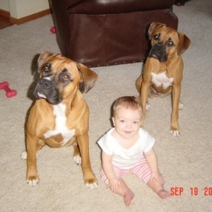 Lauren and her Boxer sisters