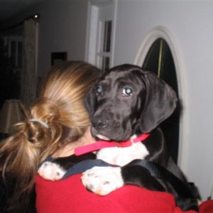 Charlie's First Day