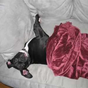 Favorite Nap Spot