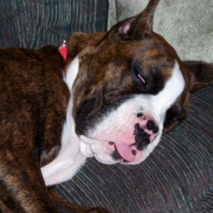 soooo tired.
