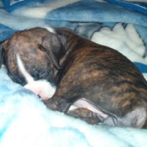 My Baby