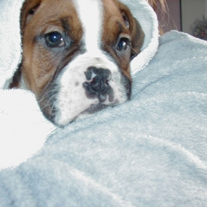 First Bath